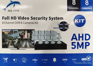 Dolphin Full HD Video Security System