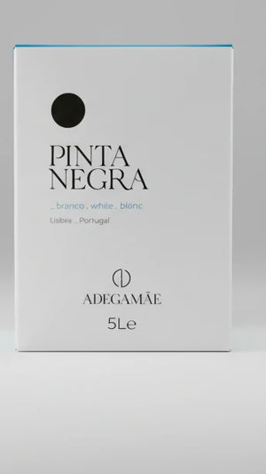 Pinta negra Wine 5l white